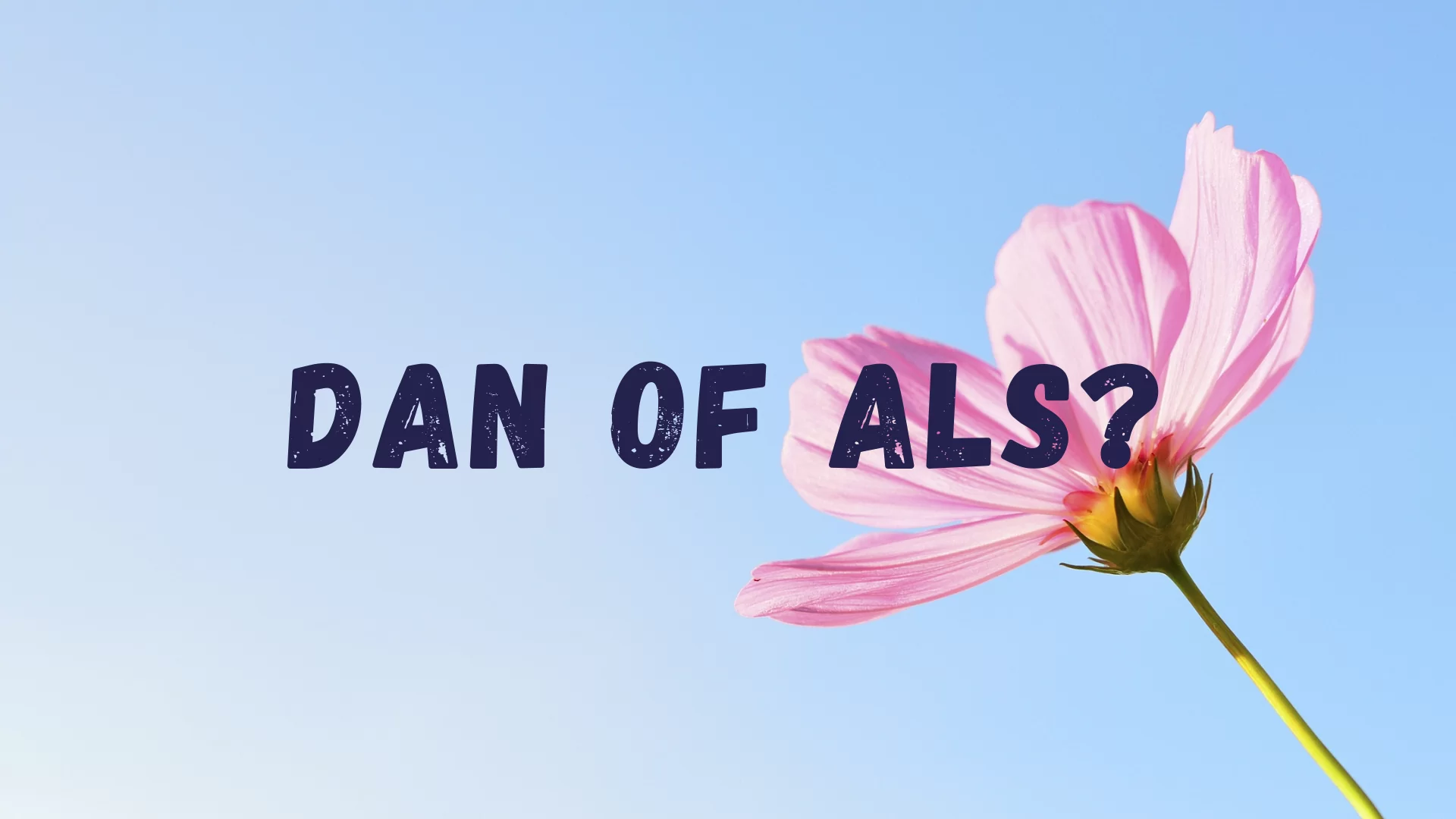 Dan of als, de Taaltrainer, Nederlands taaladvies