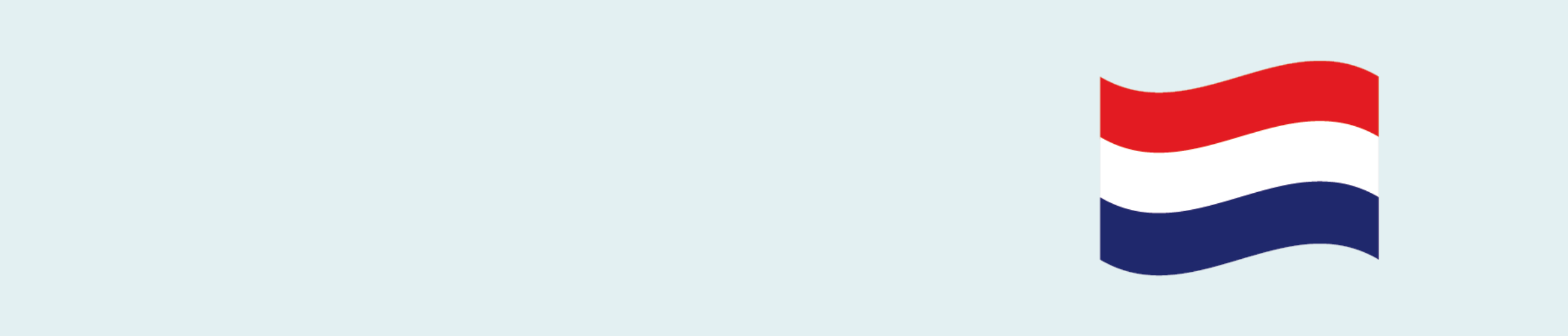 Nederlands taaladvies